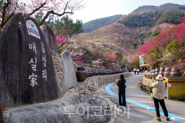 홍쌍리 매화마을의 모습 / 사진_투어코리아 유지훈 기자