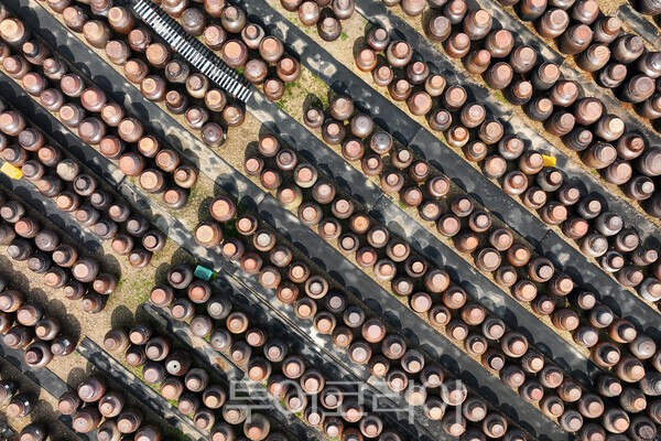 매화마을에 있는 장독대의 모습 / 사진_투어코리아 유지훈 기자