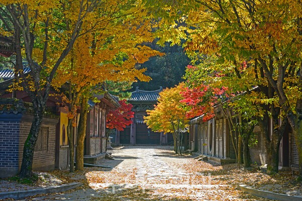 온달관광지 전경. /사진-단양군