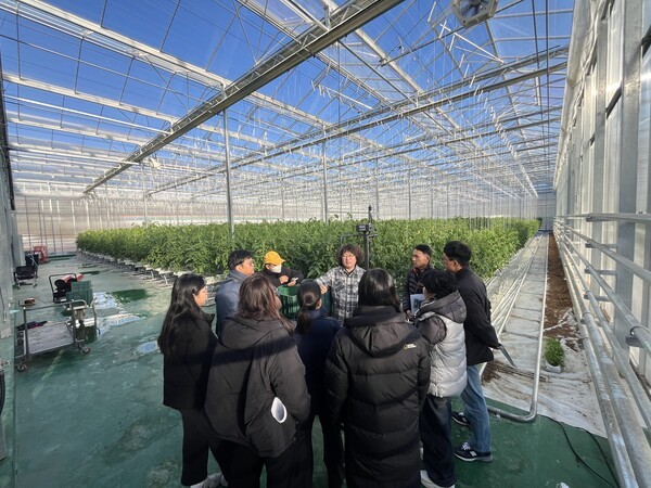 임대형 스마트팜 단지에서 청년농부들이 현장 연수를 하고 있다./사진-봉화군