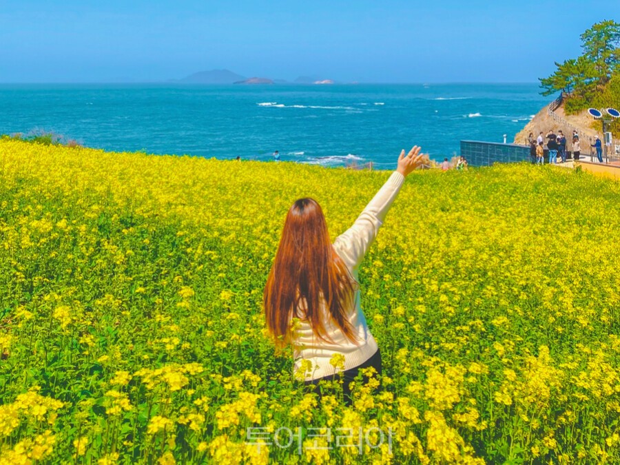 부안 변산마실길/사진-승우여행사