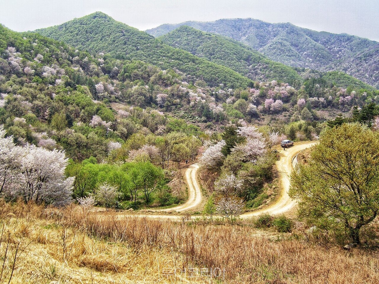 금산 보곡마을 ‘자진뱅이 둘레길'/사진-승우여행사