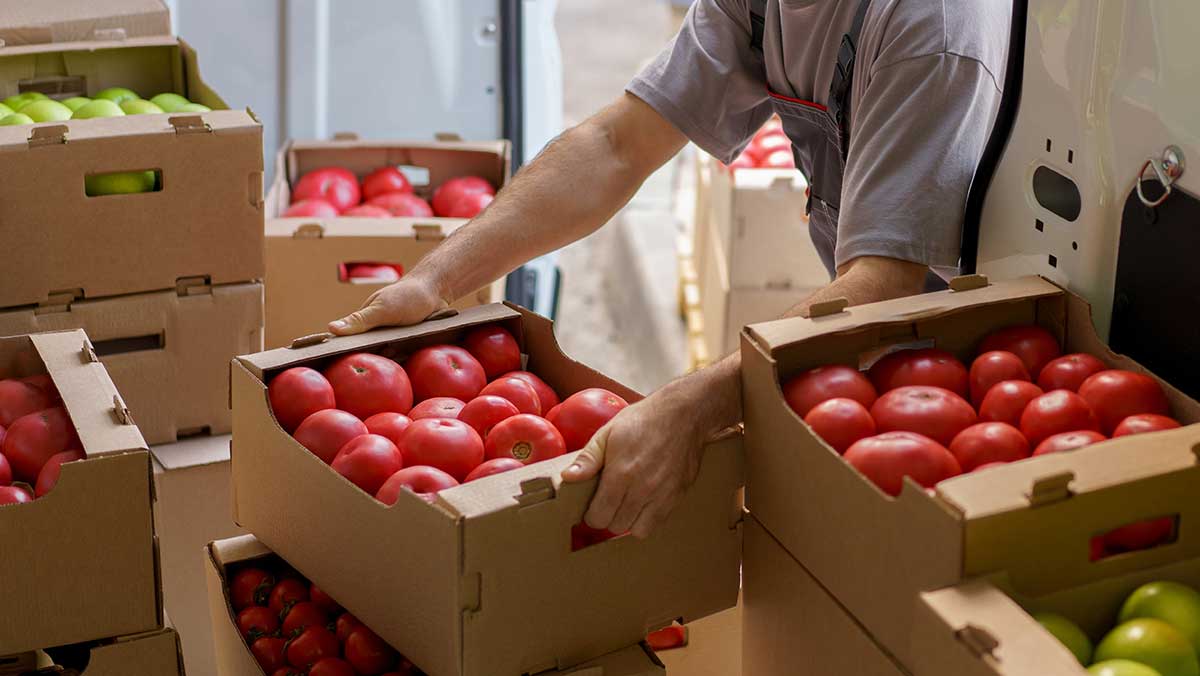 토마토 자료 사진. / VisualBricks-shutterstock.com