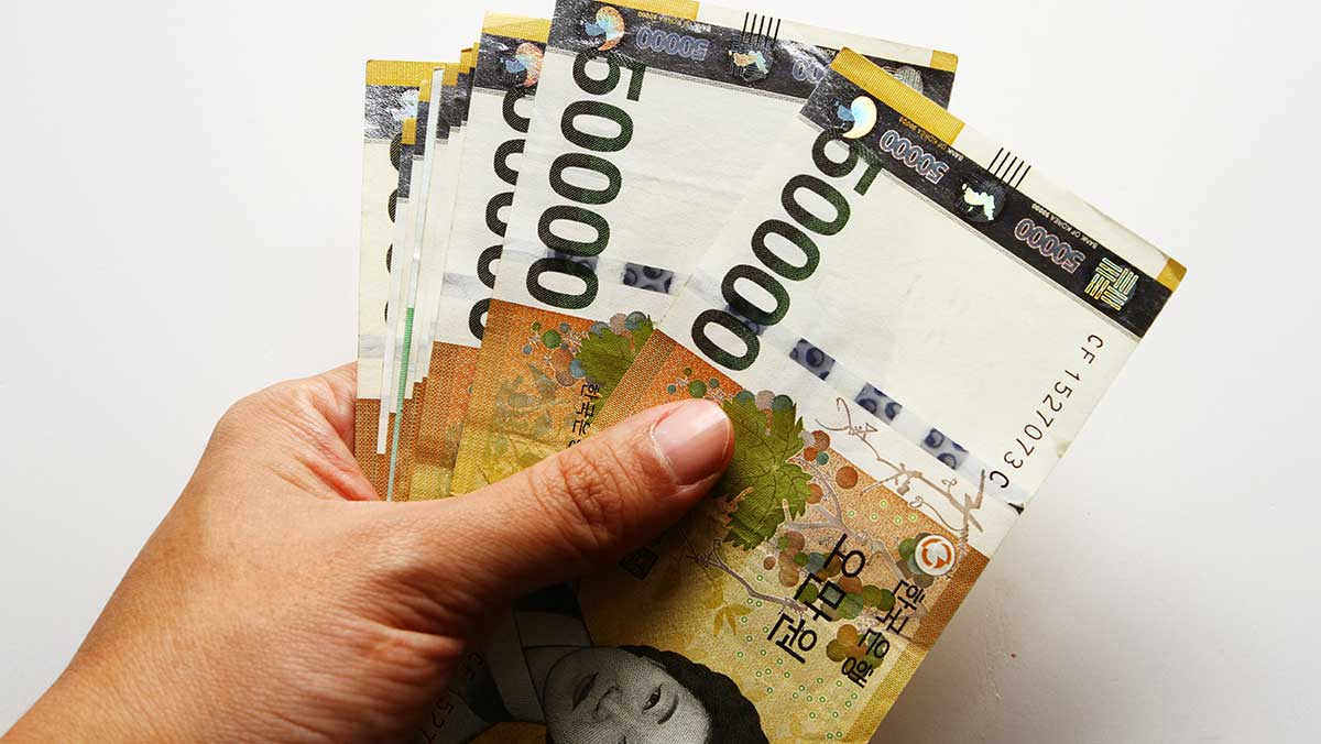 손에 쥔 5만원권 지폐 다발 모습. / taffpixture-shutterstock