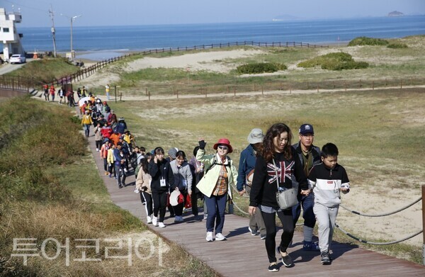 ▲태안군 신두리해안사구 둘레길 걷기 모습. /사진-태안군