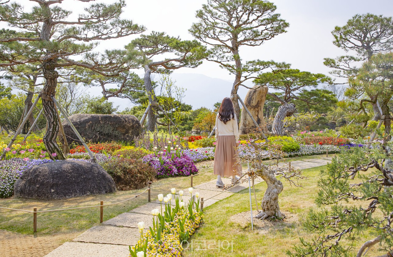 반아원 /사진-구례군