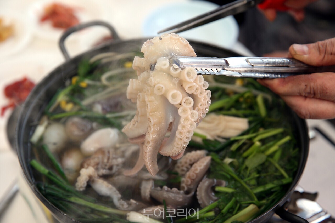 서천 쭈꾸미축제 /사진-서천