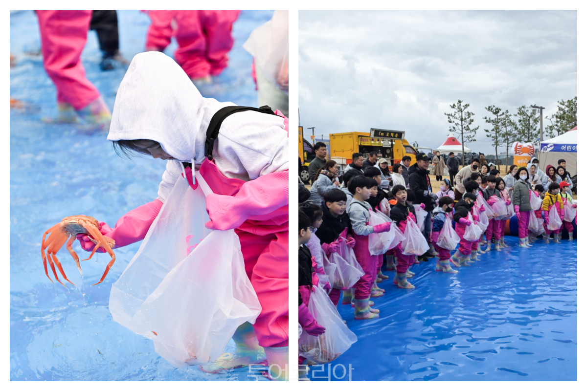영덕대게축제 / 사진-영덕군