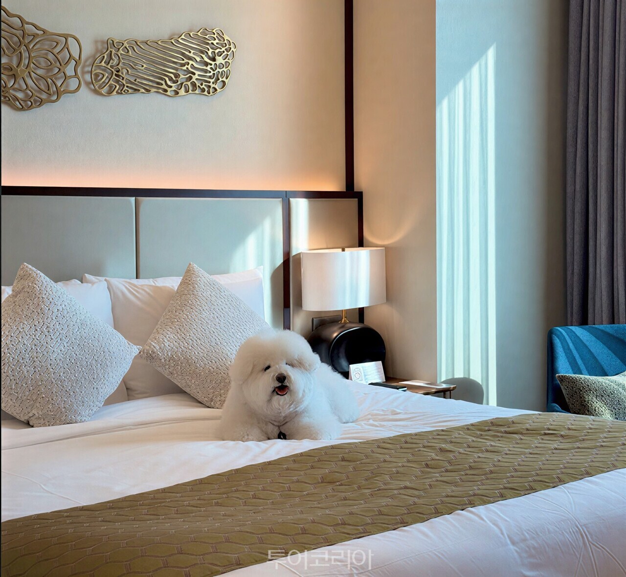 서울드래곤시티가 ‘국제 강아지의 날’ 맞아 ‘펫 프렌들리’ 서비스 강화하고 있다/사진- 서울드래곤시티