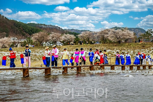 무주군 대차리 벚꽃측제 풍경 / 사진_투어코리아 유지훈 기자