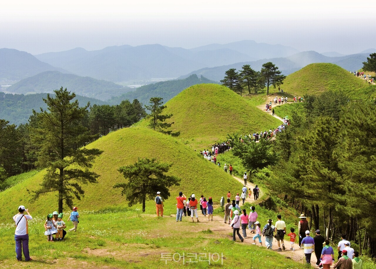 지산동고분군 / 사진-고령군