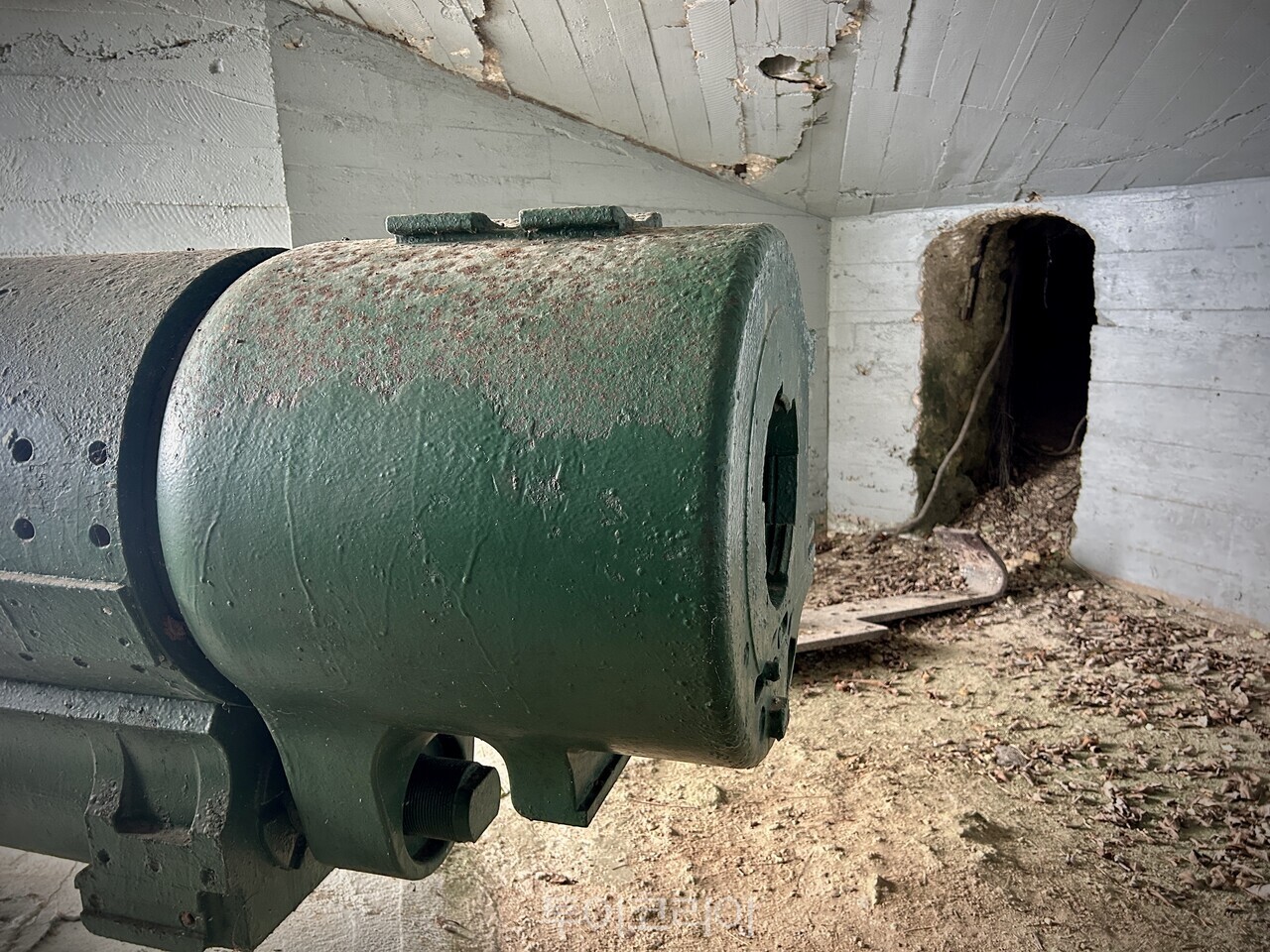 포대 뒤편으로 이어진 터널. 2차 세계대전 당시 한국인이 동원돼 조성된 공간이다./ 사진- 박은하 기자