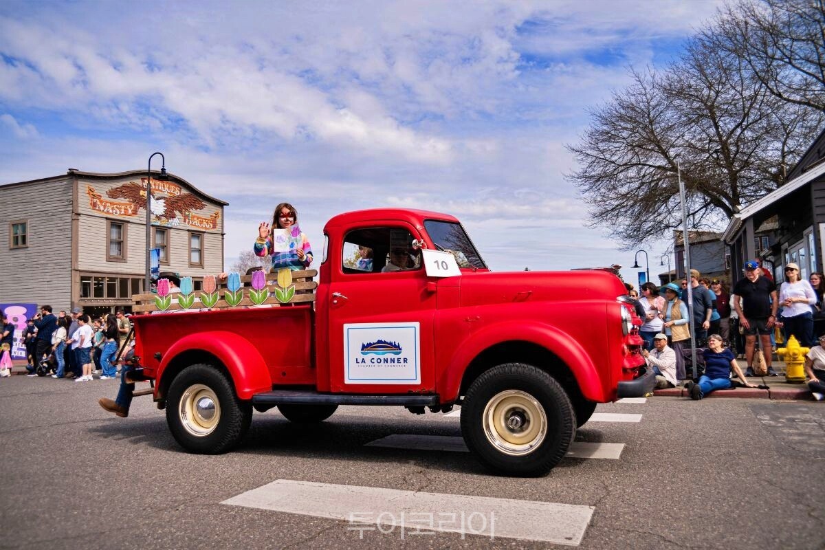 튤립 퍼레이드/ 사진-미국 워싱턴주 스카짓 밸리 튤립 페스티벌