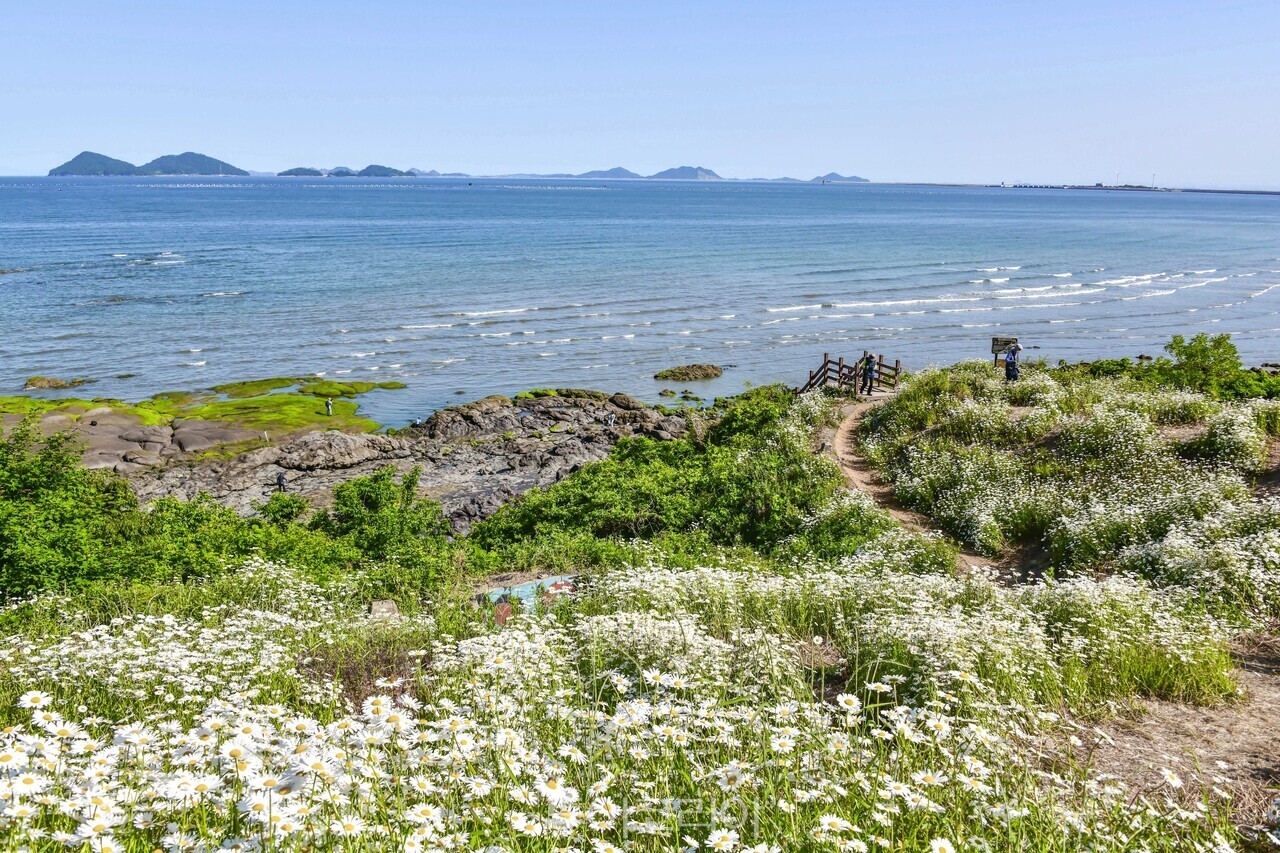   부안 변산마실길 / 사진-승우여행사