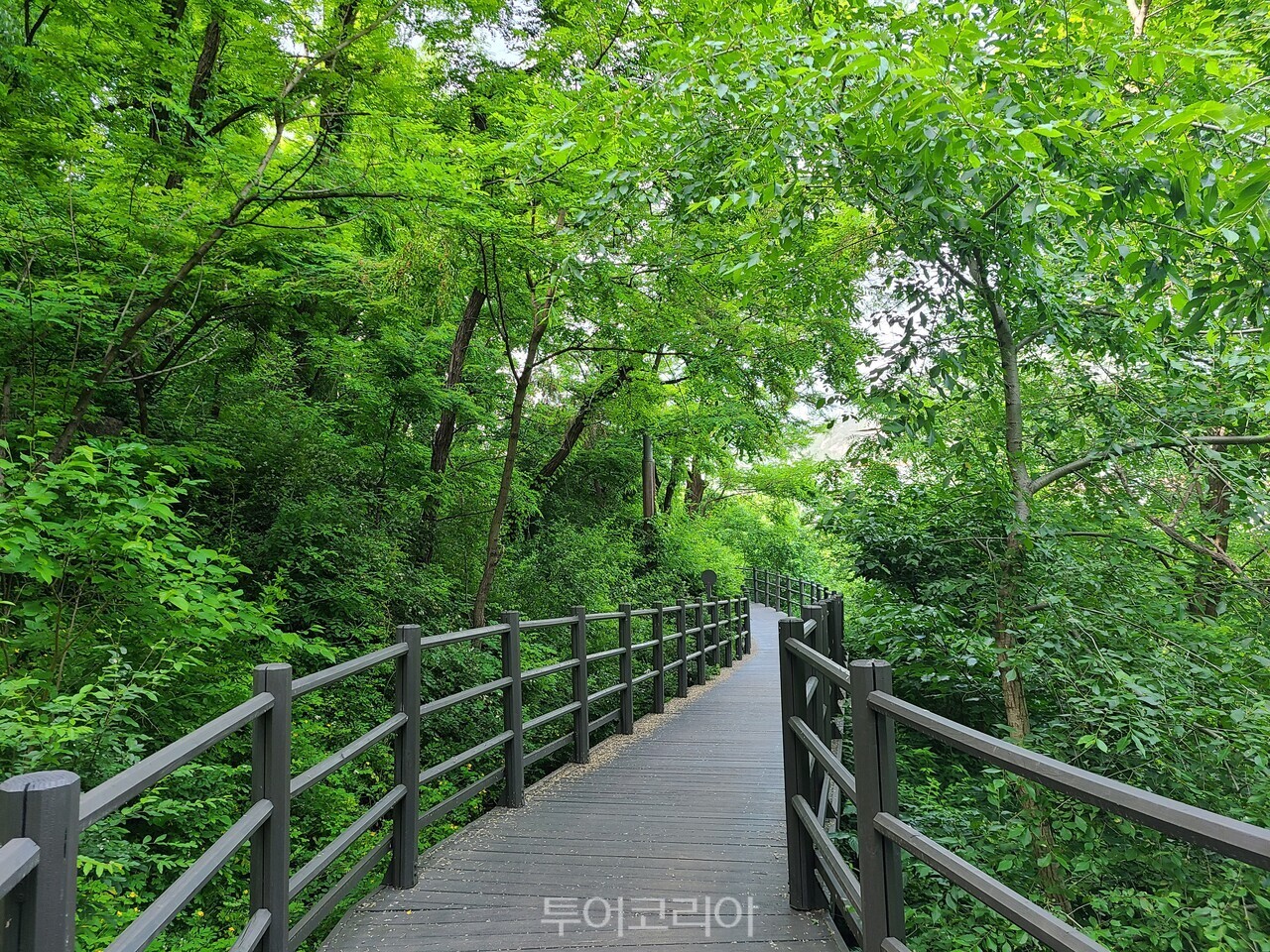 서울 안산자락길 여주 동학의길 부안 변산마실길 / 사진-승우여행사