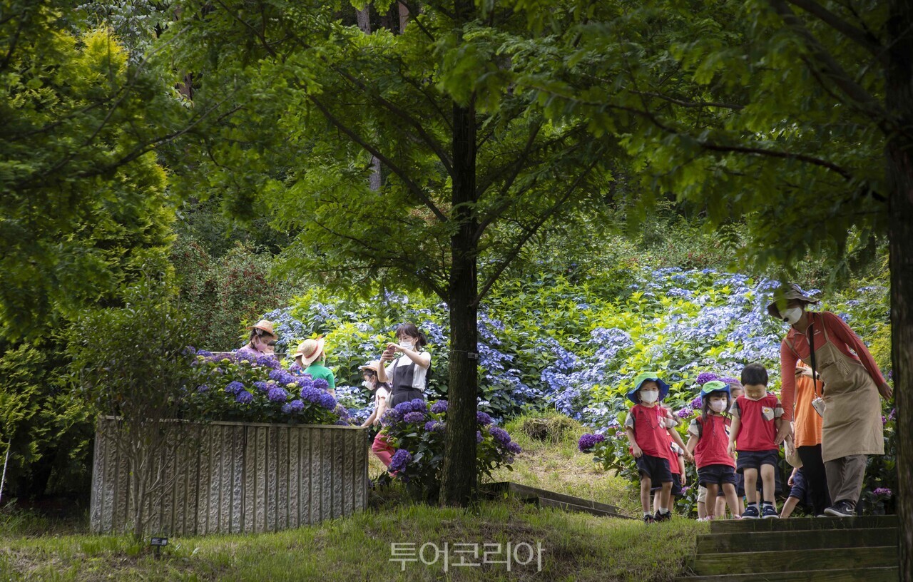 구례수목원 /사진-구례군