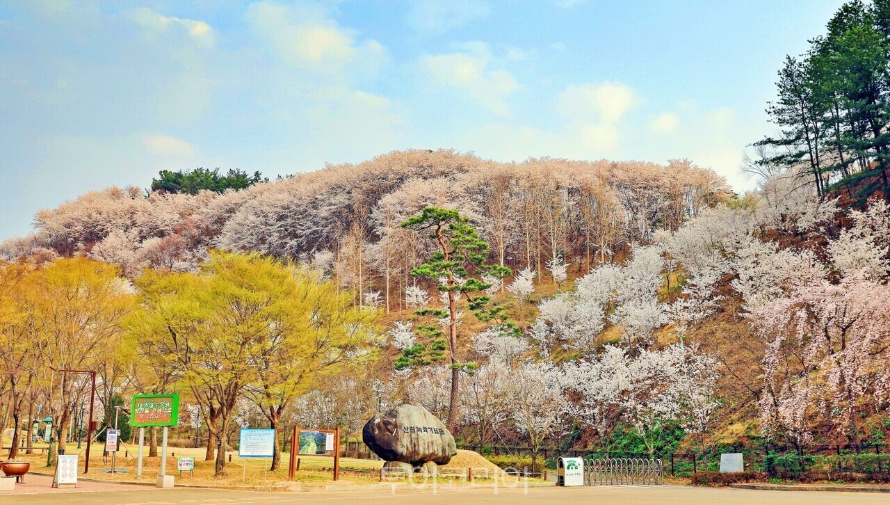 대가야수목원의 봄 사진-고령군