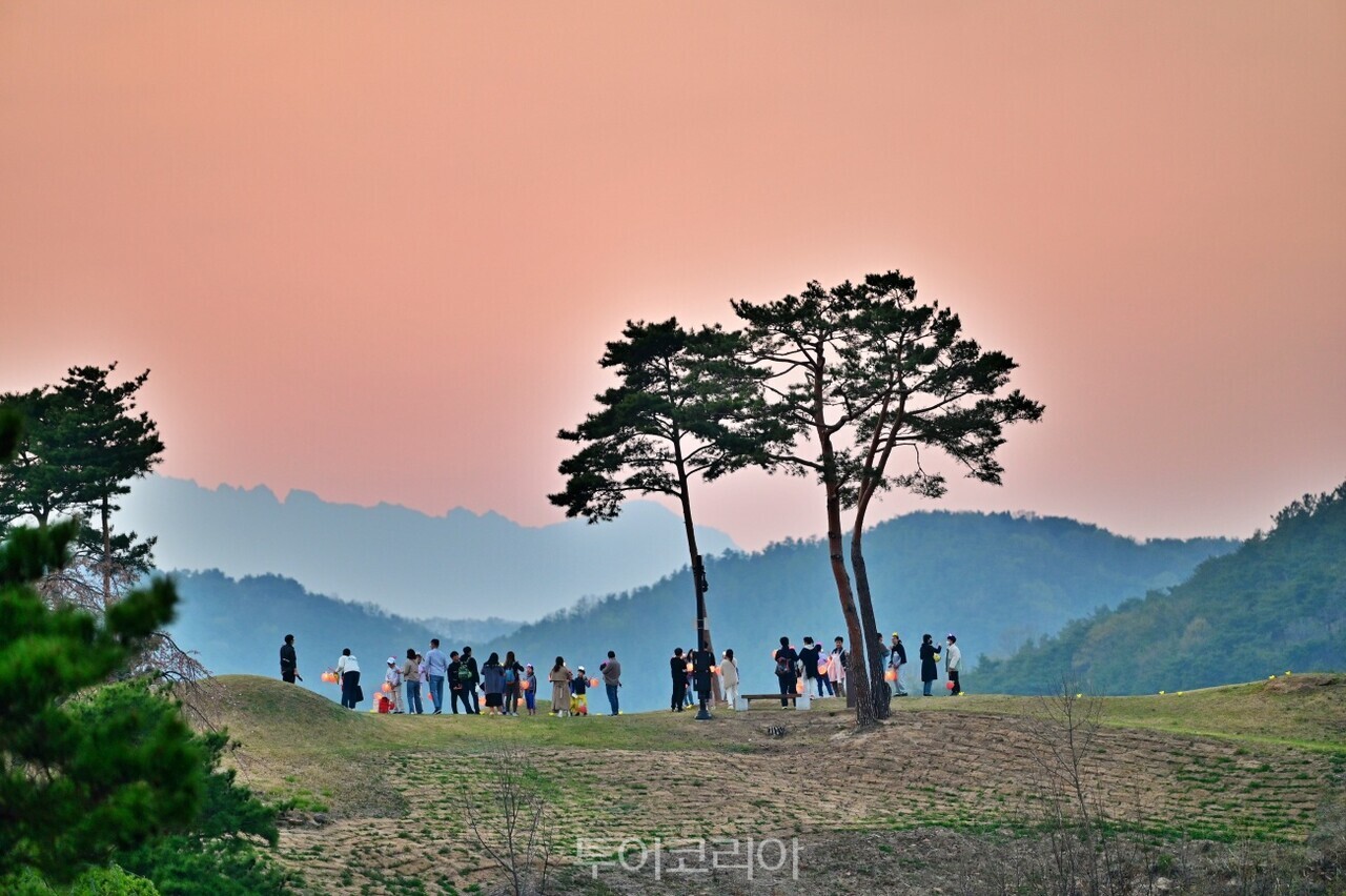 지산동 고분군 / 사진-고령군