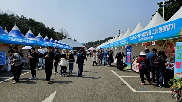 많은 시민과 관광객이 축제장을 찾아 고령농특산물을 구매하고 있다./사진=유경훈 기자