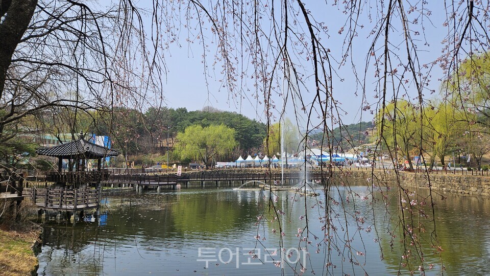 봄 풍경 짙어지는 축제장 우륵지/사진=유경훈 기자