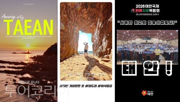 ▲지난해 수상작 및 원예치유박람회 홍보 숏폼 스크린샷. /사진-태안군