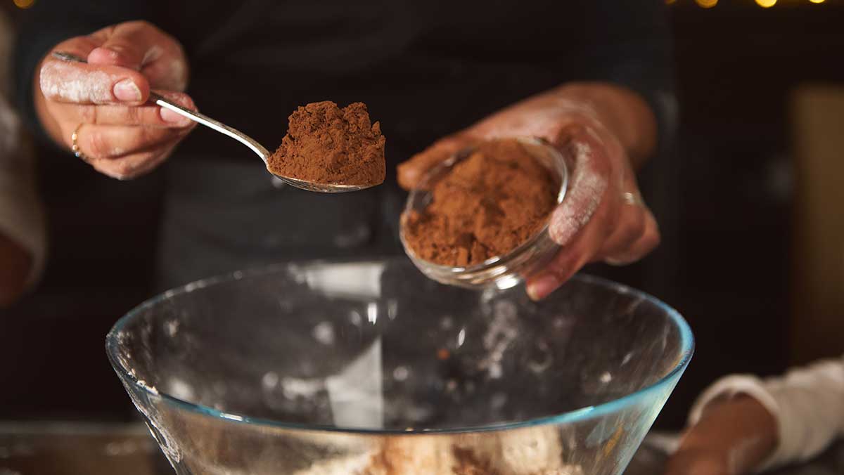 코코아 가루 자료 사진. / Taras Grebinets-shutterstock.com