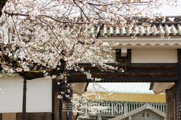 사진- 에어비앤비