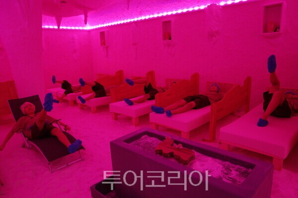 테마 체험실/동해무릉건강숲 제공