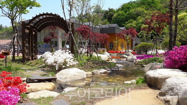 봄날의 무릉숲-활짝핀 꽃밭/동해무릉건강숲 제공