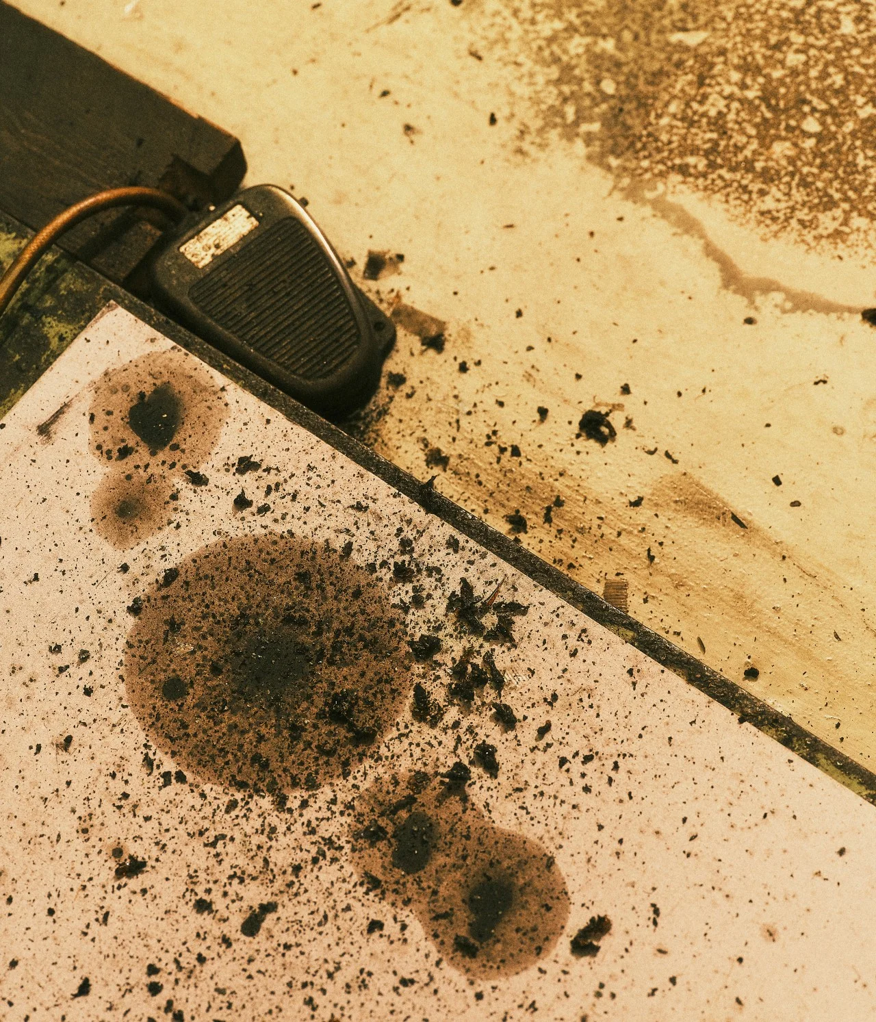 /사진=닥터마틴 1461 슈즈 65주년 기념, 한정판 에디션 공개