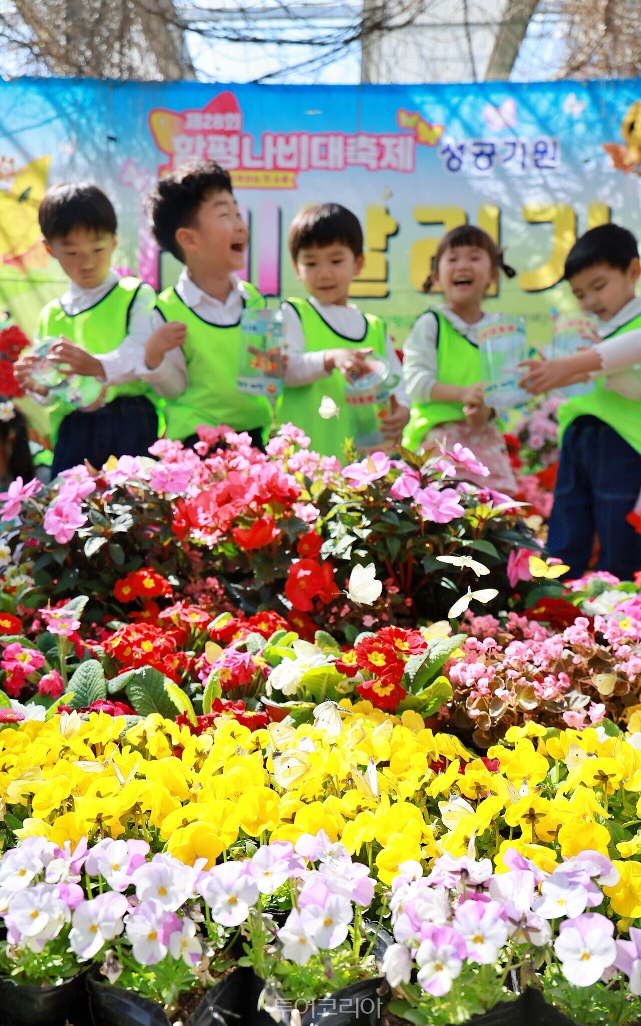 지난 3월 열린 나비대축제 성공 기원 나비날리기 /사진-함평군