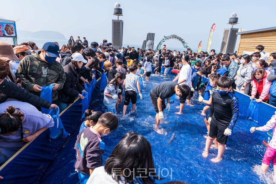 무창포주꾸미 도다리 축제/사진-보령시 제공