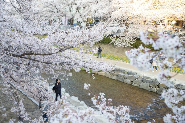울산 무거천은 평소에도 산책로로 사용될만큼 시민들의 접근성이 뛰어난 곳이다/사진-투어코리아 김교환 기자