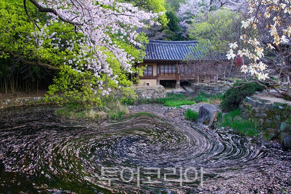 대전 남간정사의 아름다운 모습 / 사진_투어코리아 유지훈 기자