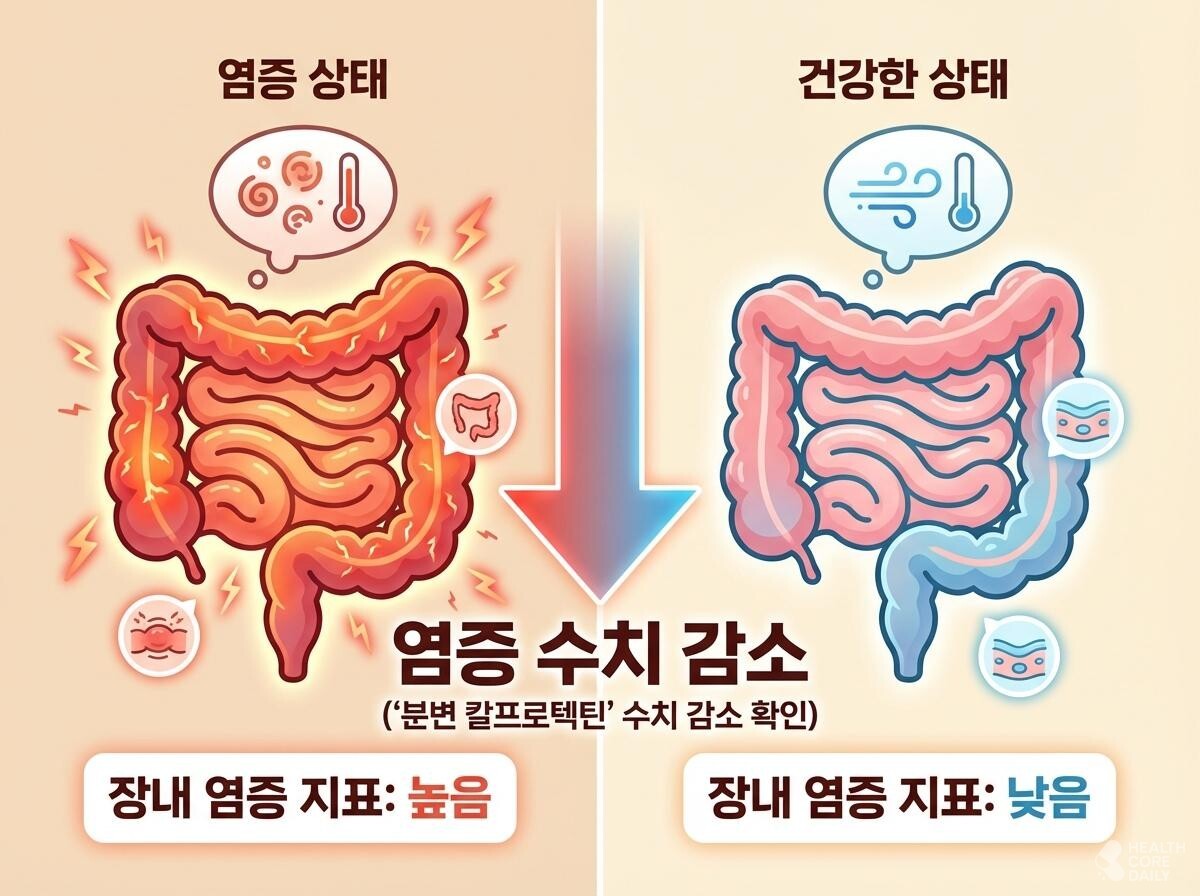 염증 지표 변화 삽화. / 헬스코어데일리