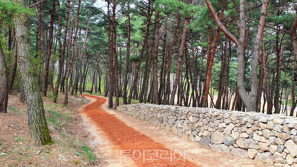 사색하며 것ㄷ기 좋은 황톳길/사진=가산수피아