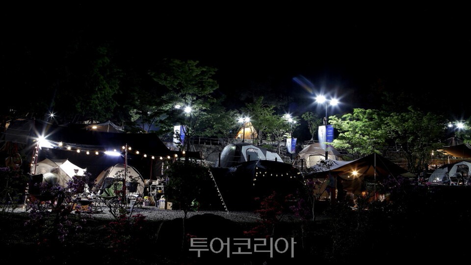 숲속 캠핑/사진=가산수피아