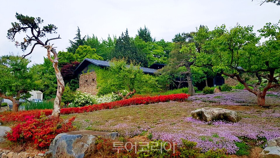 분재원/사진=가산수피아