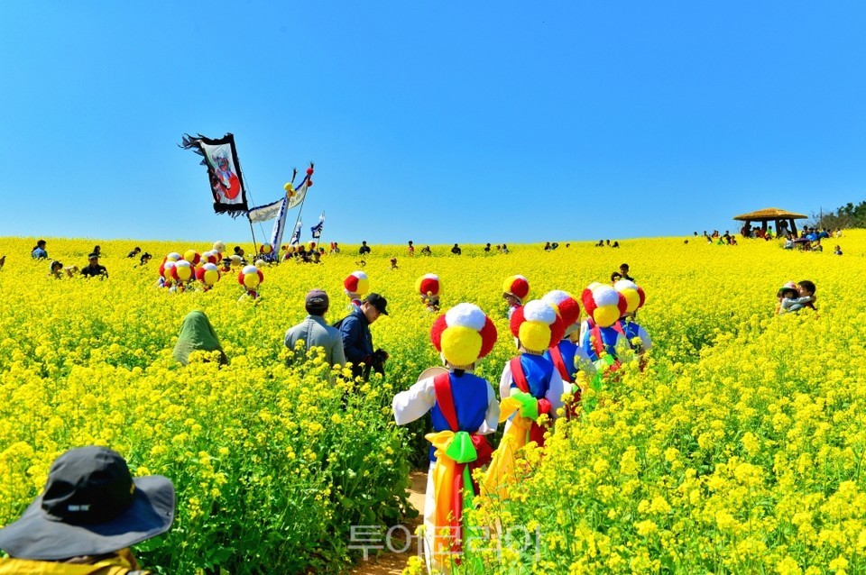 고창청보리밭축제 / 사진-고창군