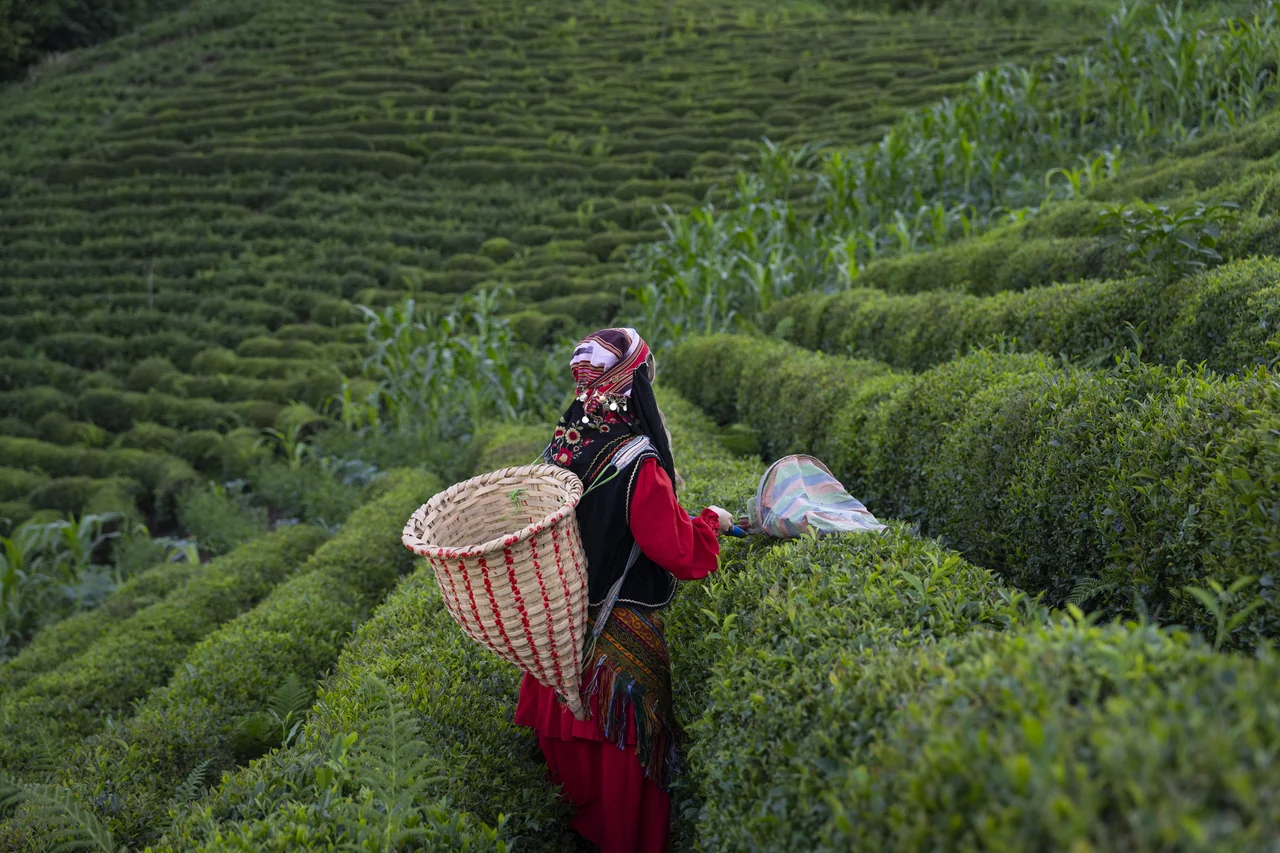 /사진=튀르키예 카츠카르 산맥, 사계절 액티비티 관광 거점 강화