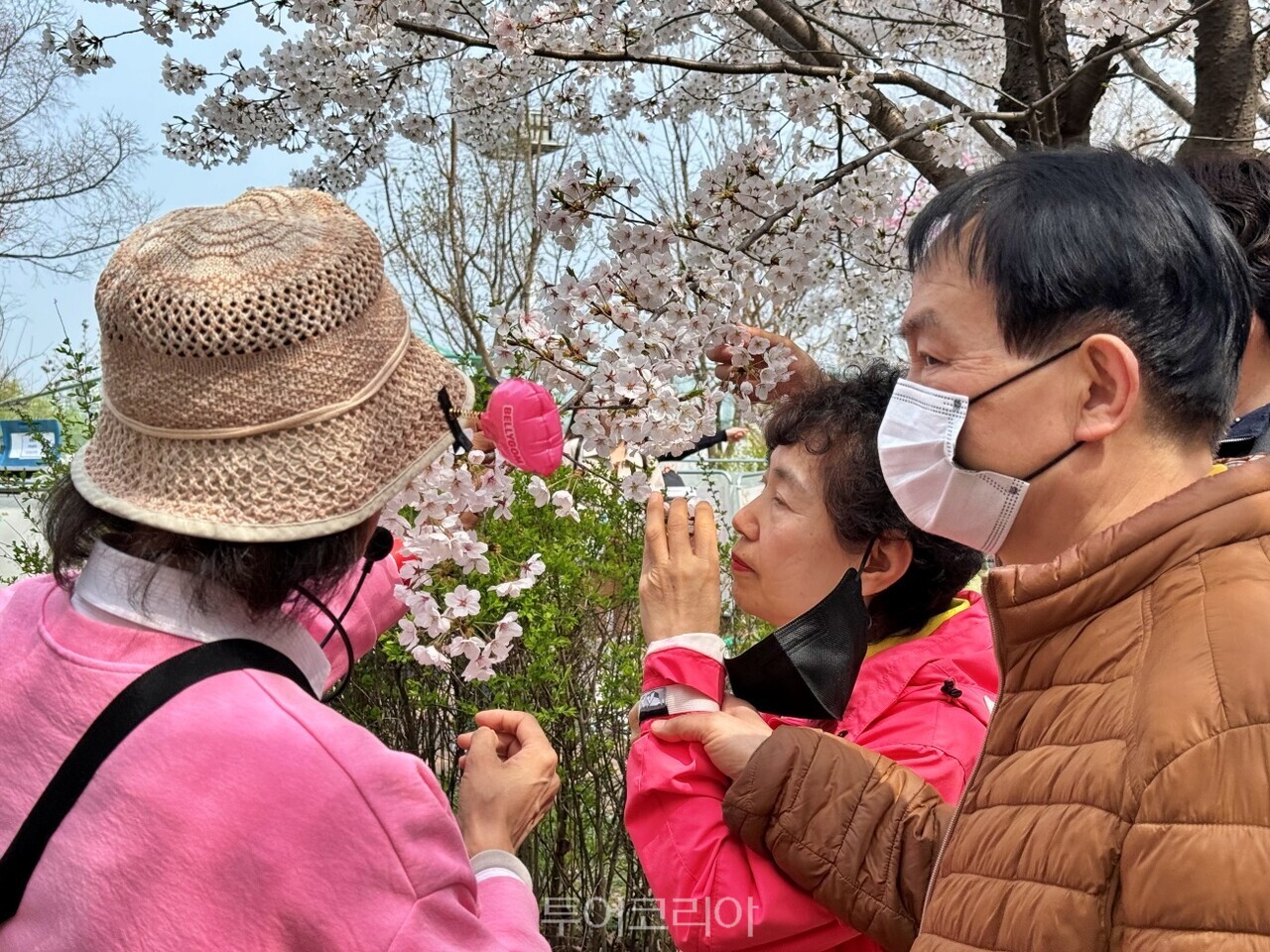 사진서울관광재단