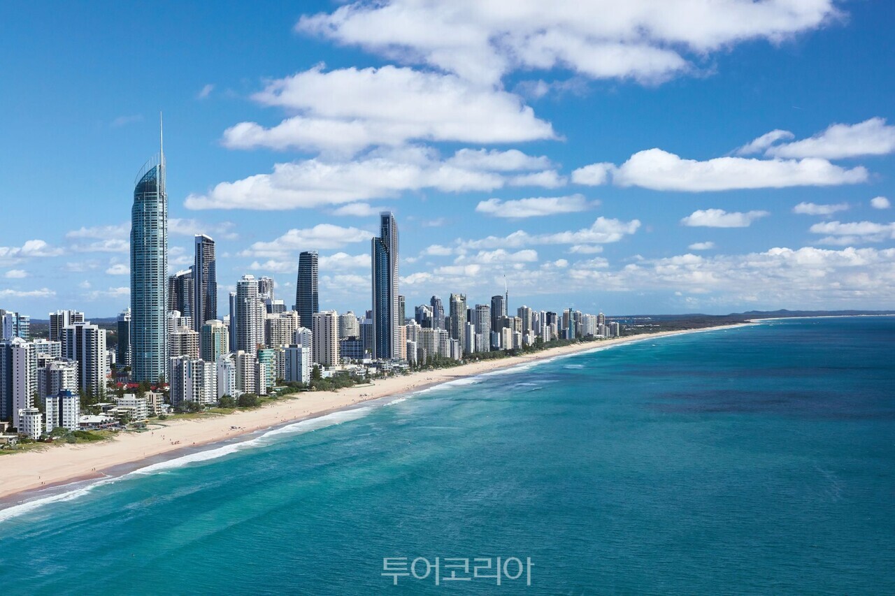 골드코스트 - 서퍼스 파라다이스
