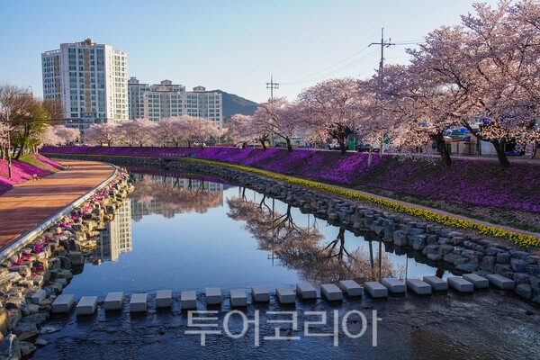 순창읍의 양지천변의 아름다운 모습 / 사진_투어코리아 유지훈 기자