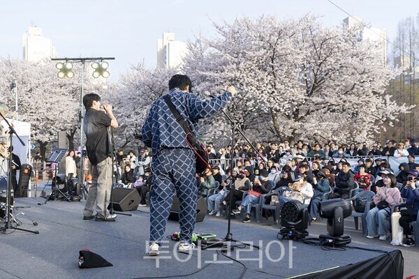 김포시와 김포문화재단이 지난 11일과 12일 양일간 2026 김포벚꽃축제 ‘오롯이 벚꽃’을 개최하고 있다.