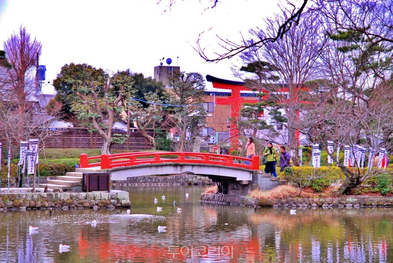 쓰루가오카 하치만구 / 사진-투어코리아