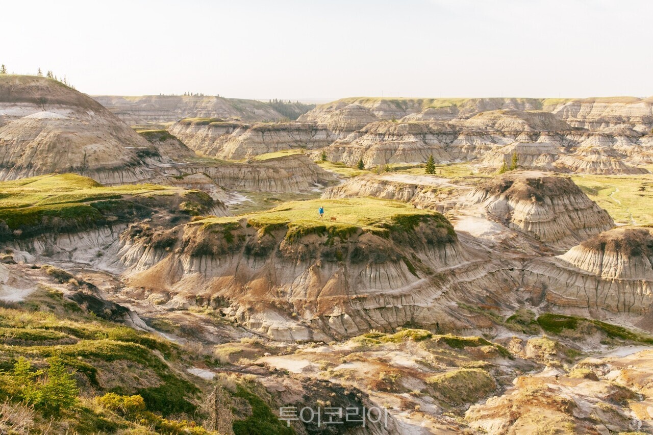 배드랜즈 ⓒ Travel Alberta Stevin Tuchiwsky /사진-캐나다관광청