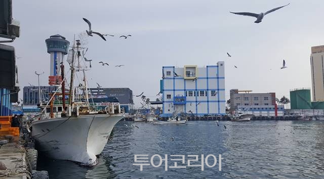 묵호항/사진-동해시