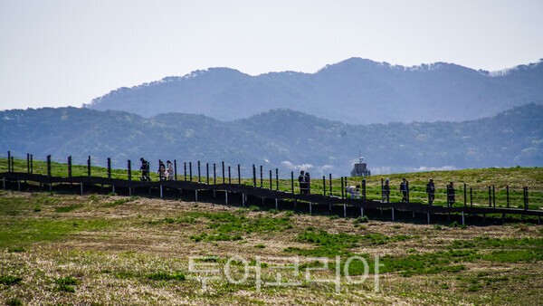 ​서산한우목장의 웰빙 산책로의 아름다움 / 사진_투어코리아 유지훈 기자서산한우목장의 웰빙 산책로의 모습 / 사진_투어코리아 유지훈 기자