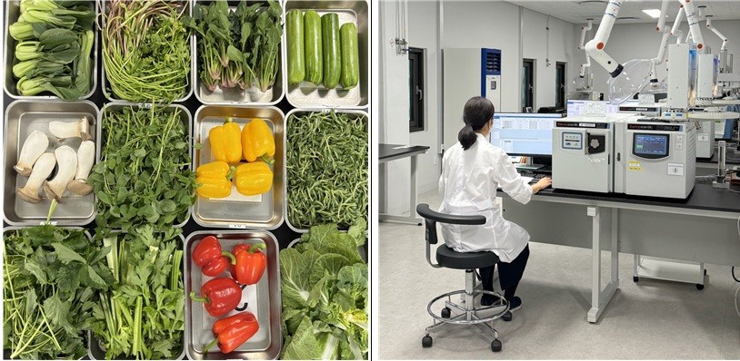  ▲  농산물 검사 식재료                                                                 ▲  잔류농약 기기분석 현장/ 서울시 제공