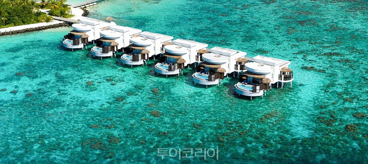 오블루셀렉트상겔리 / 사진-투어민